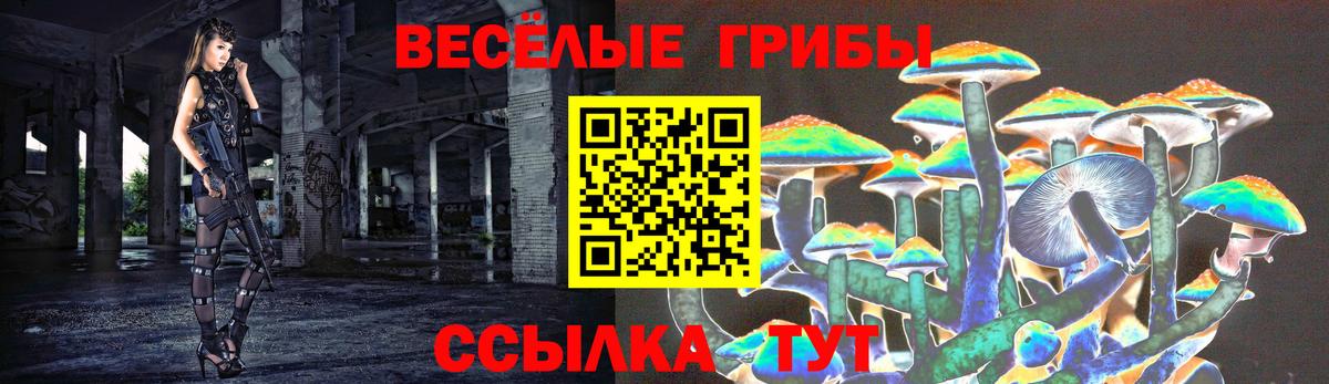 Псилоцибиновые грибы GOLDEN TEACHER Симферополь